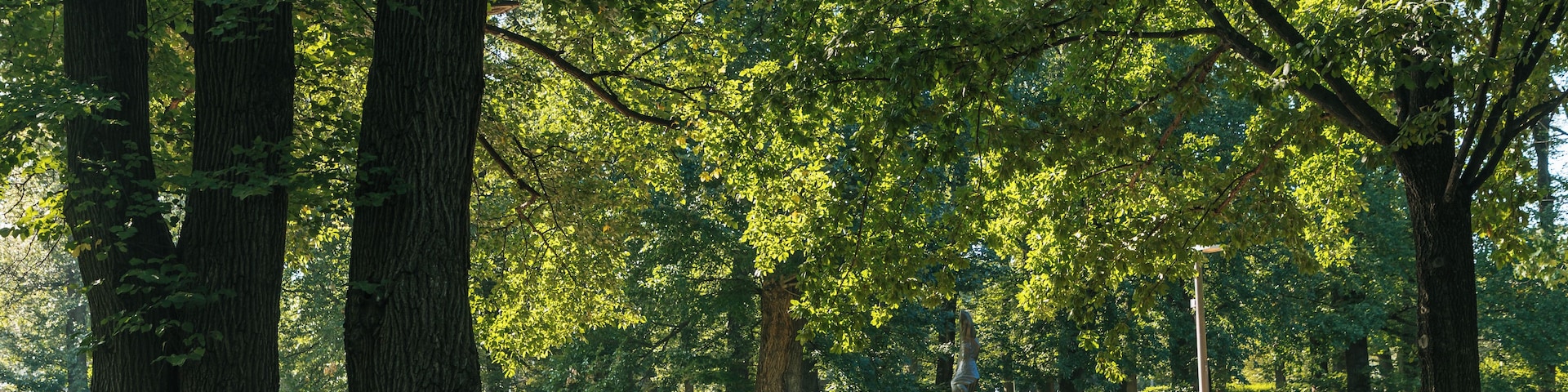 A park with tall trees, a well-maintained lawn, and a statue in the distance.