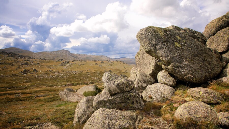 Thredbo เนื้อเรื่องที่ สวน
