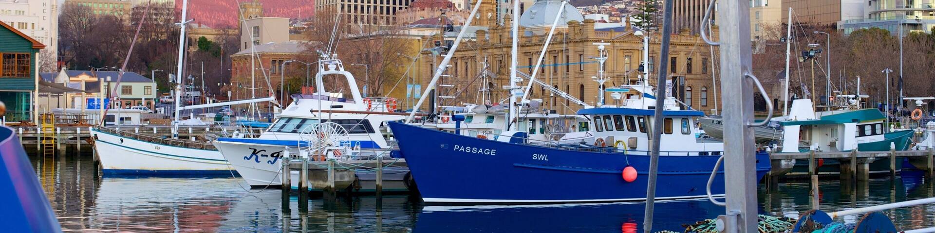 Constitution Dock showing boating, a marina and a coastal town