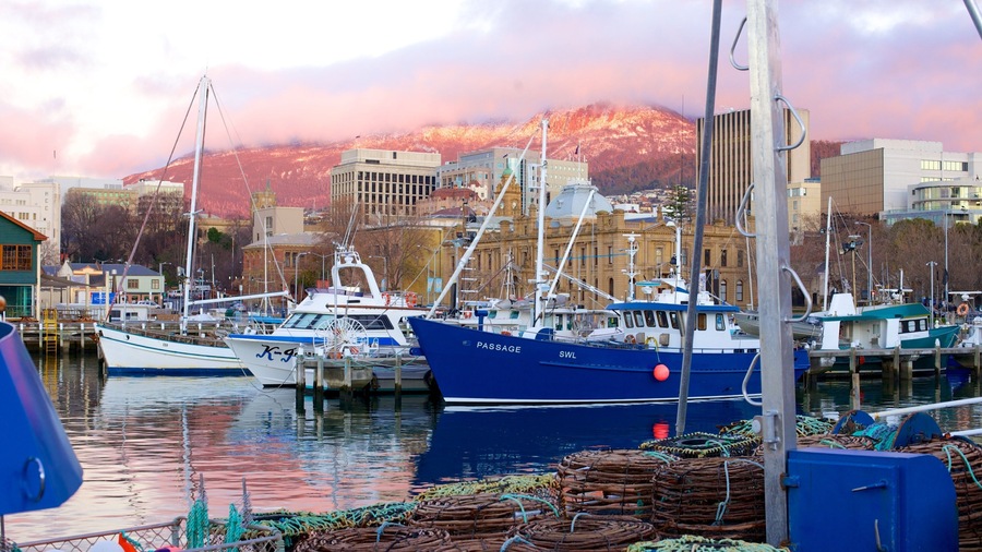 Constitution Dock showing boating, a marina and a coastal town