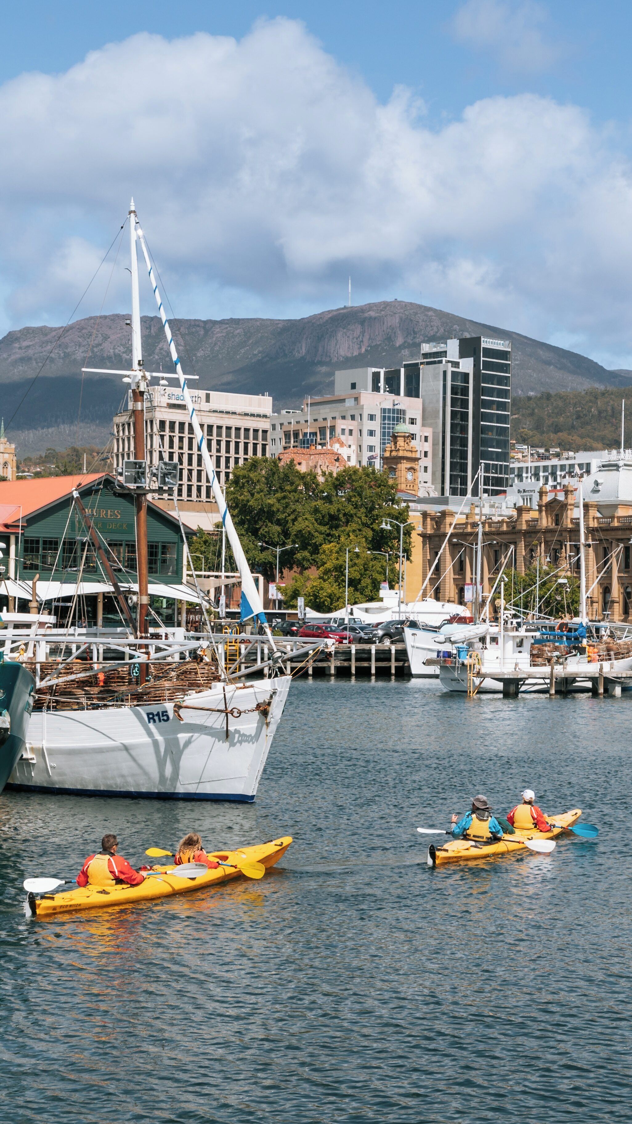 Exploring Constitution Dock with Kayaking Adventures in Hobart's Central Business District on a Clear Day