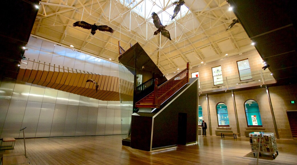 Tasmanian Museum and Art Gallery showing interior views