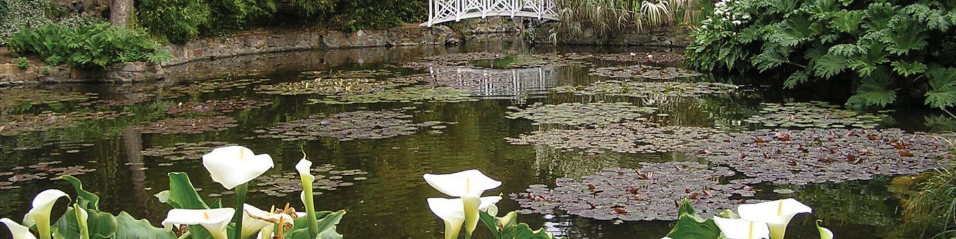 Royal Tasmanian Botanical Gardens mettant en vedette pont, mare et fleurs