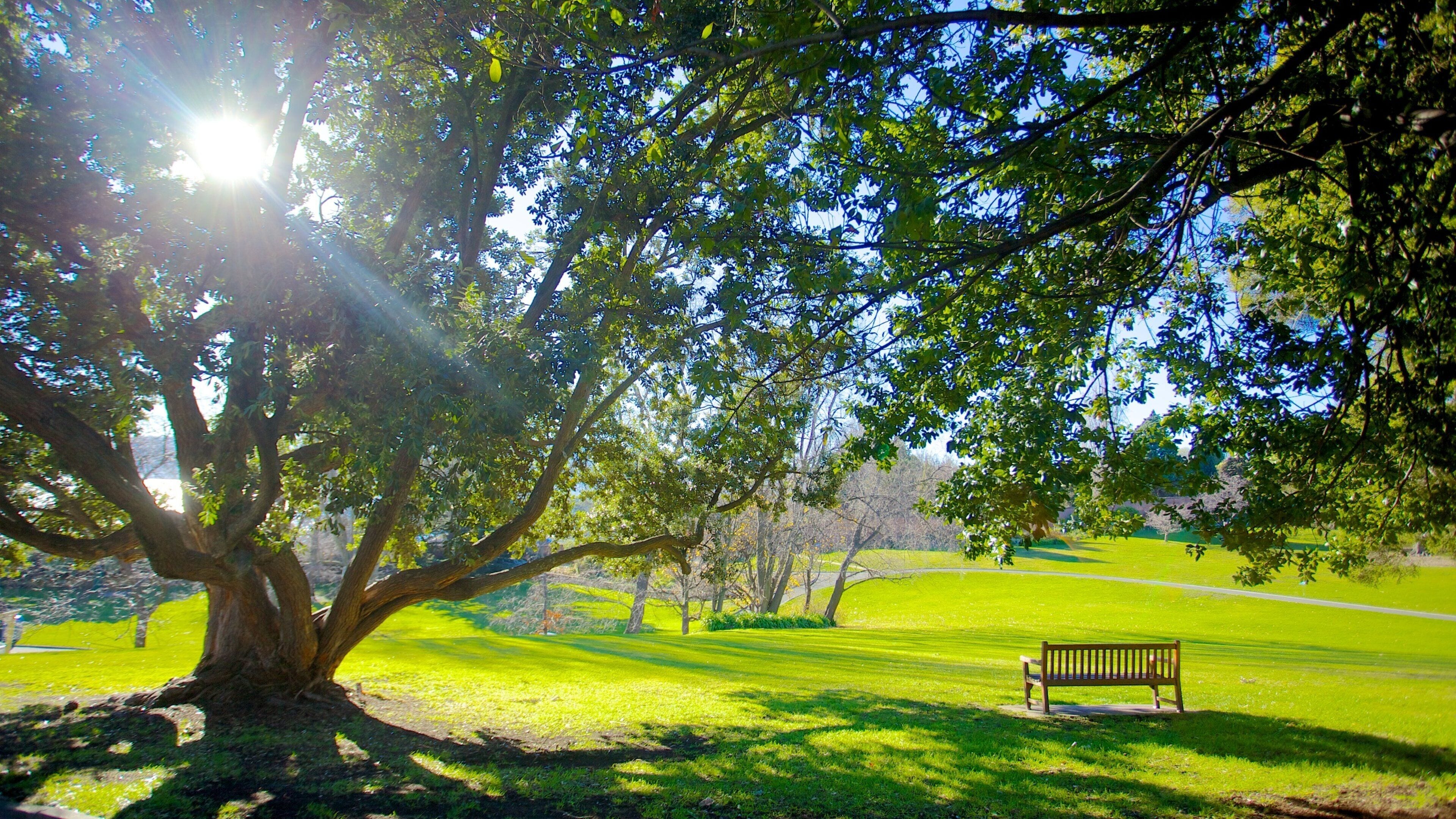 Royal Tasmanian Botanical Gardens which includes a park