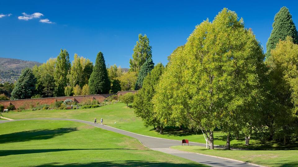 A park with a winding path, green grass, and tall trees.