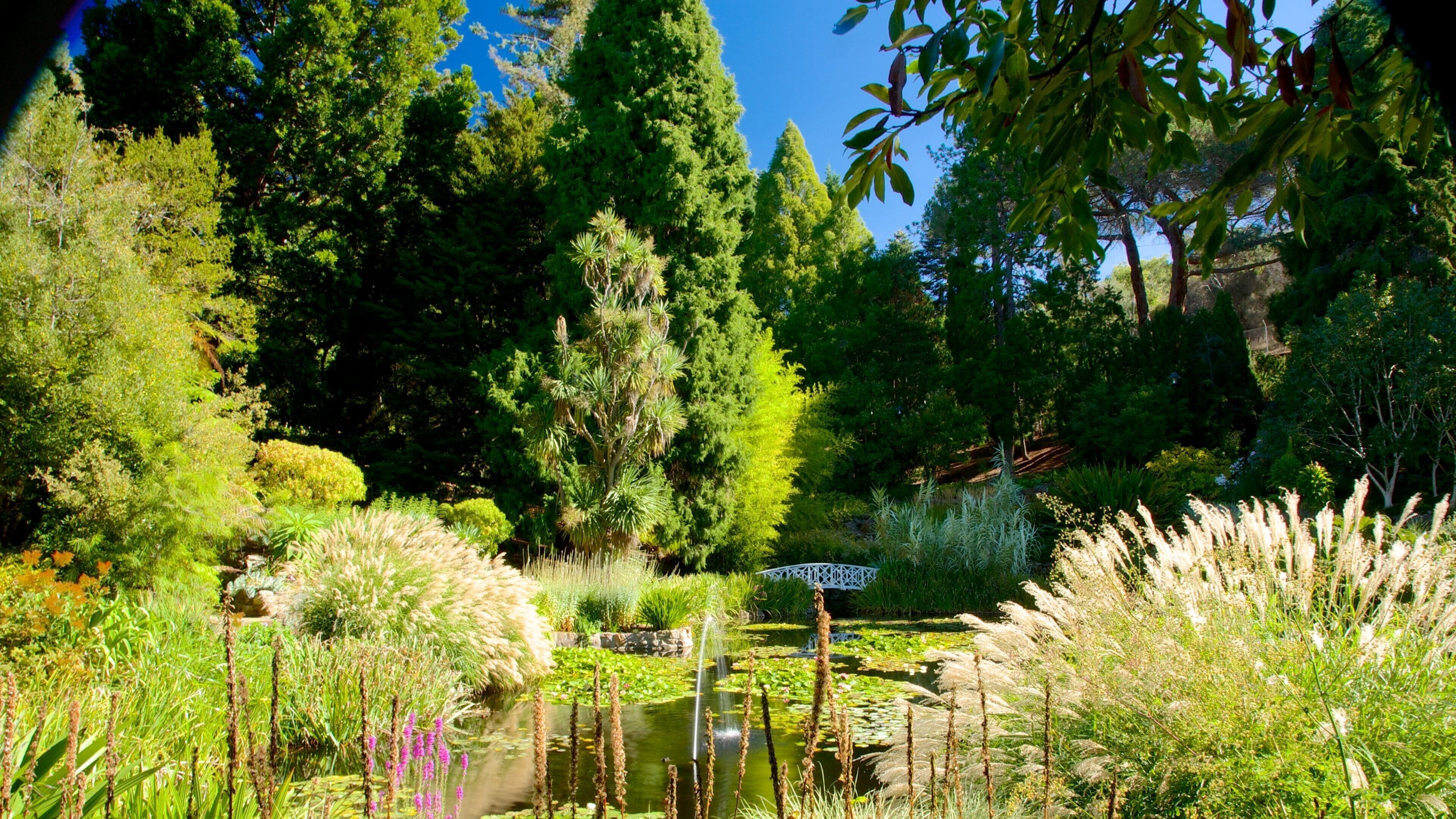 Royal Tasmanian Botanical Gardens og byder på en dam og en have