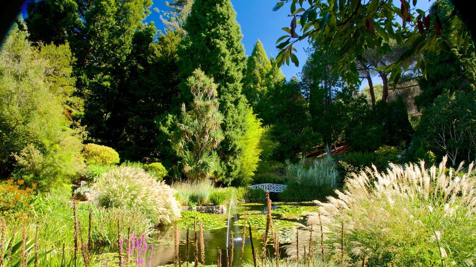 A lush garden with a pond, various plants, and trees.