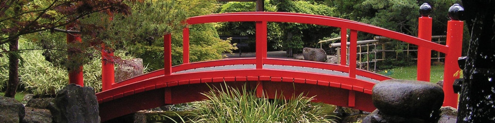 Royal Tasmanian Botanical Gardens showing a bridge, a pond and a garden