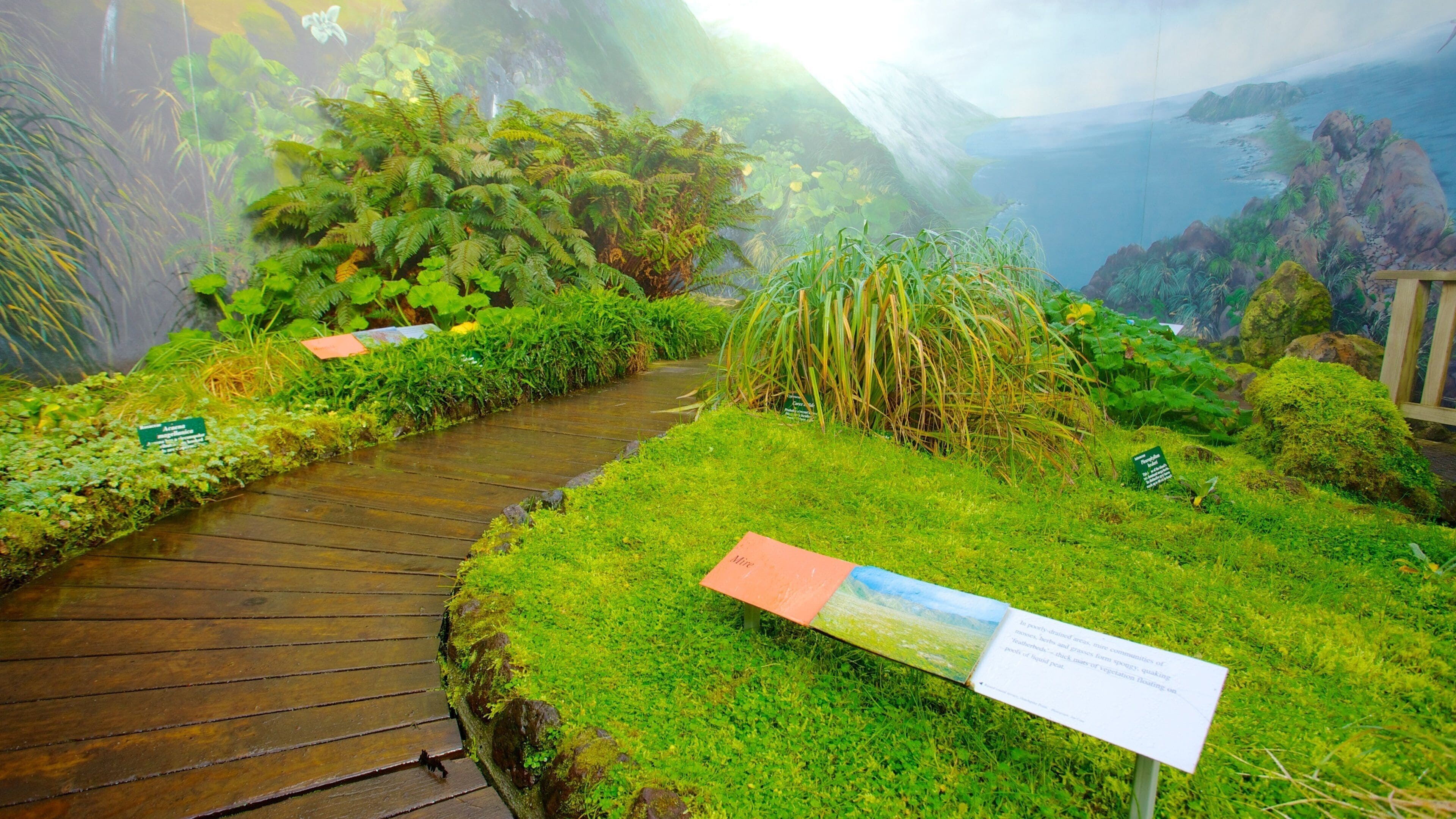 Royal Tasmanian Botanical Gardens