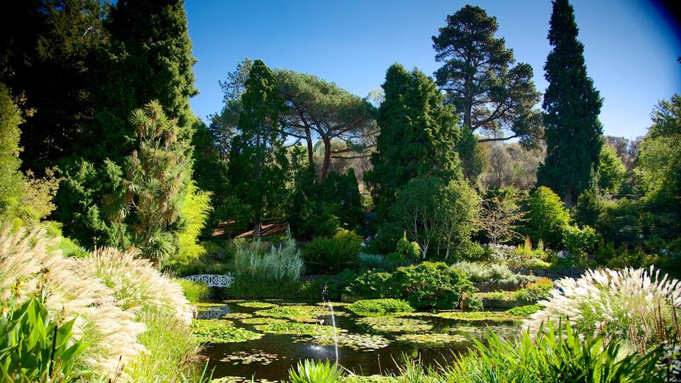 A lush garden with a pond, various trees, and a white bridge.