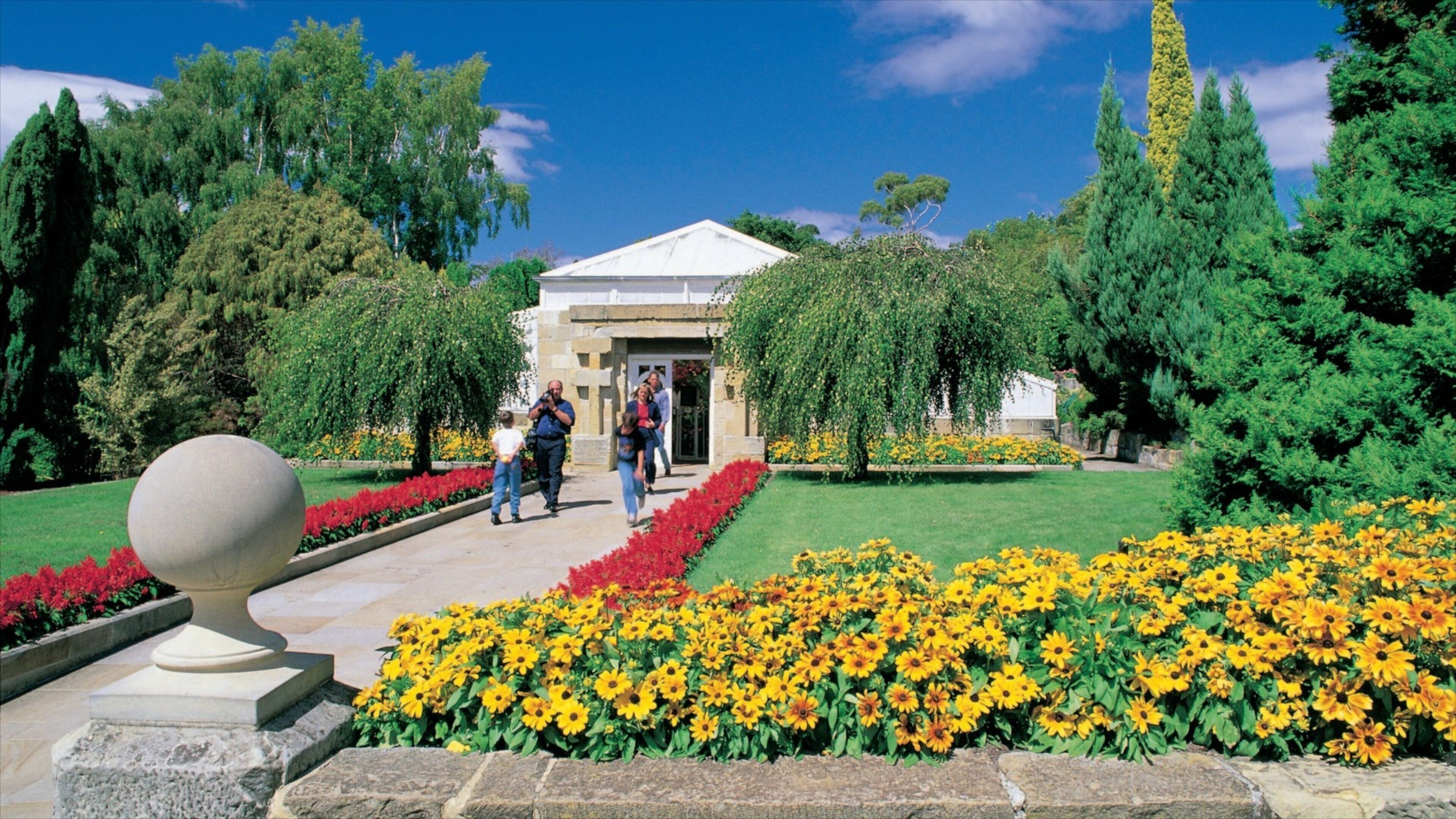 Royal Tasmanian Botanical Gardens montrant fleurs et jardin