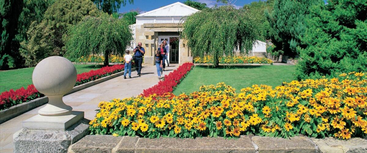 Real Jardín Botánico de Tasmania que incluye flores y un parque