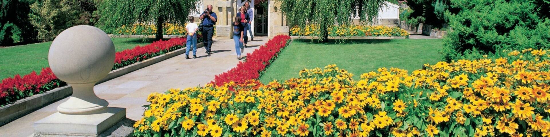 Royal Tasmanian Botanical Gardens which includes a park and flowers