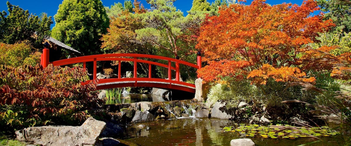 Real Jardín Botánico de Tasmania ofreciendo un jardín, un estanque y un puente