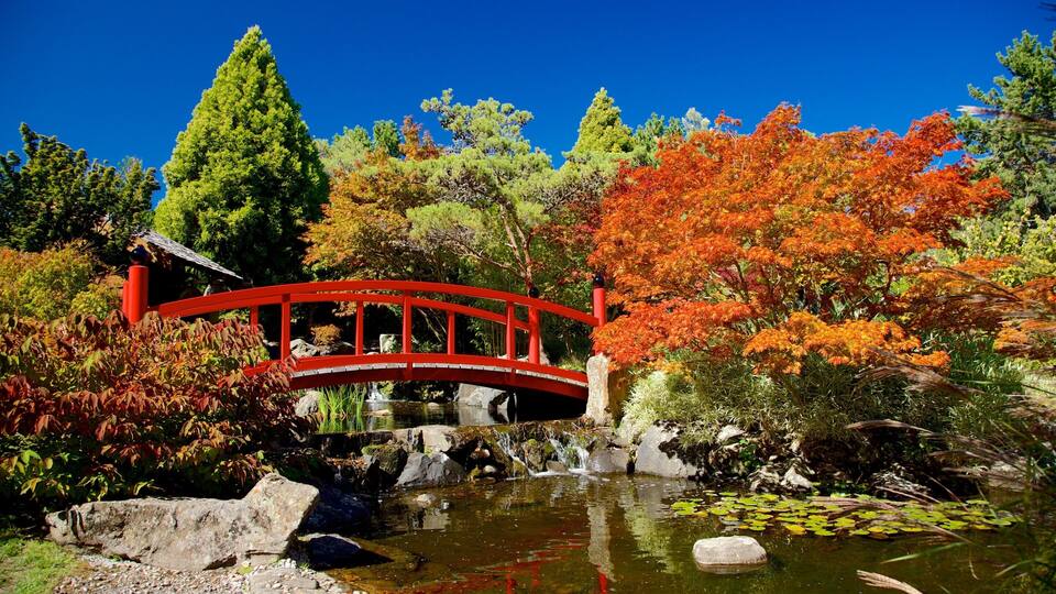 A red bridge over a pond with autumn foliage and a clear blue sky.