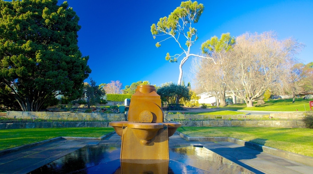 Royal Tasmanian Botanical Gardens which includes a garden