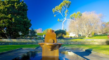 Royal Tasmanian Botanical Gardens which includes a park