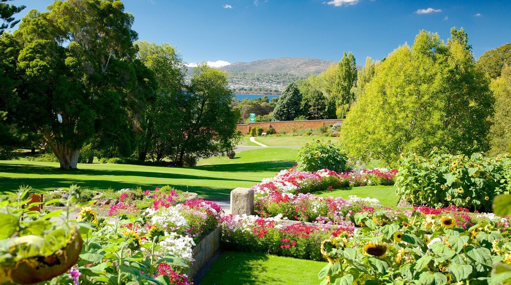 Royal Tasmanian Botanical Gardens og byder på en park