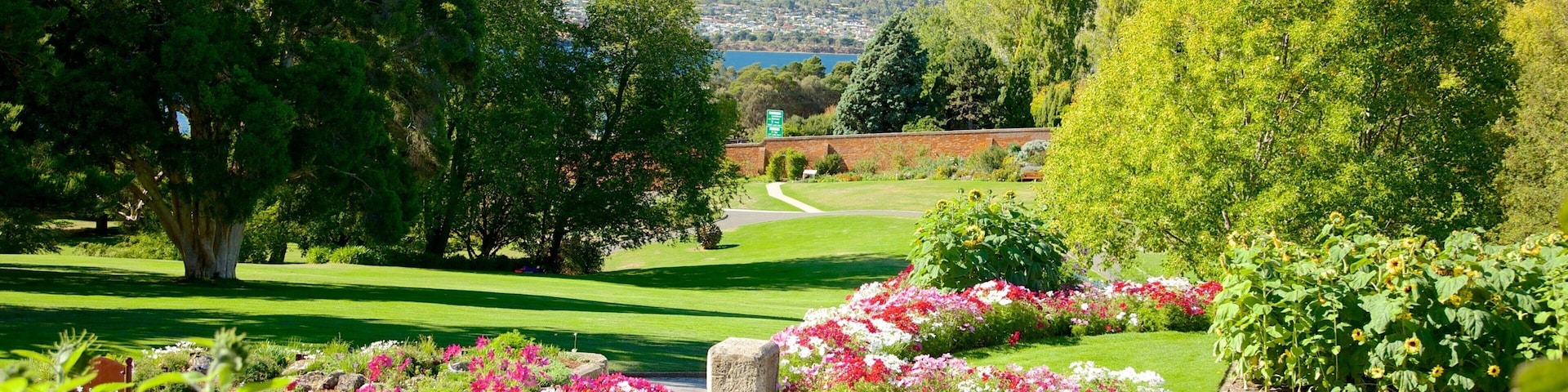 Real Jardín Botánico de Tasmania ofreciendo un jardín