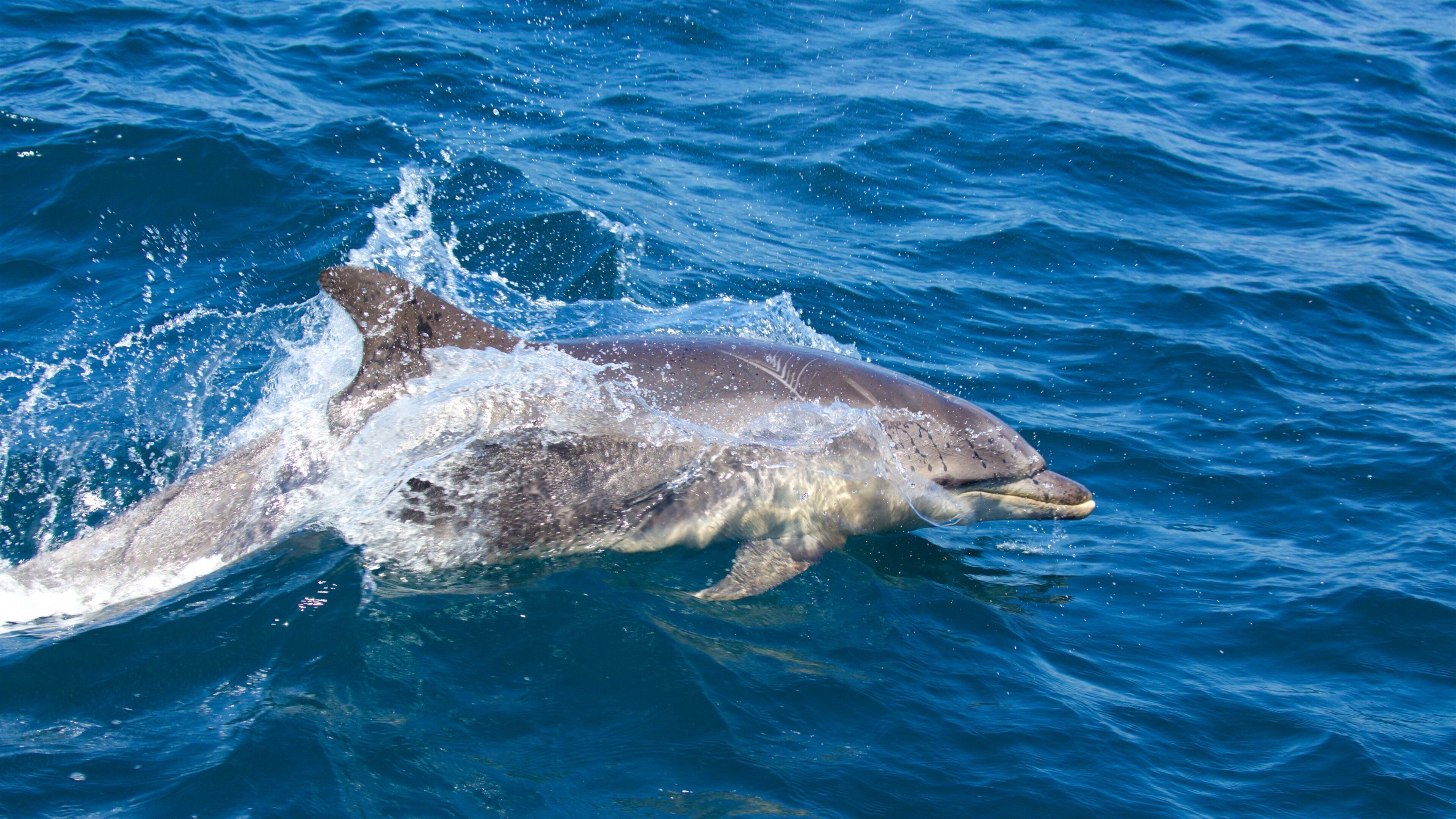 Freycinet National Park