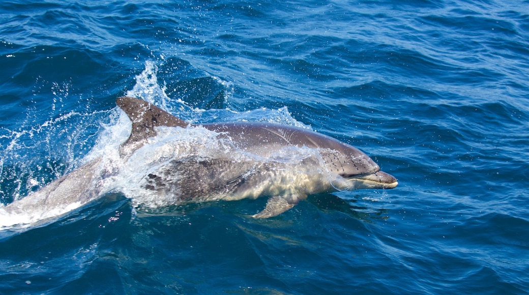 Freycinet National Park