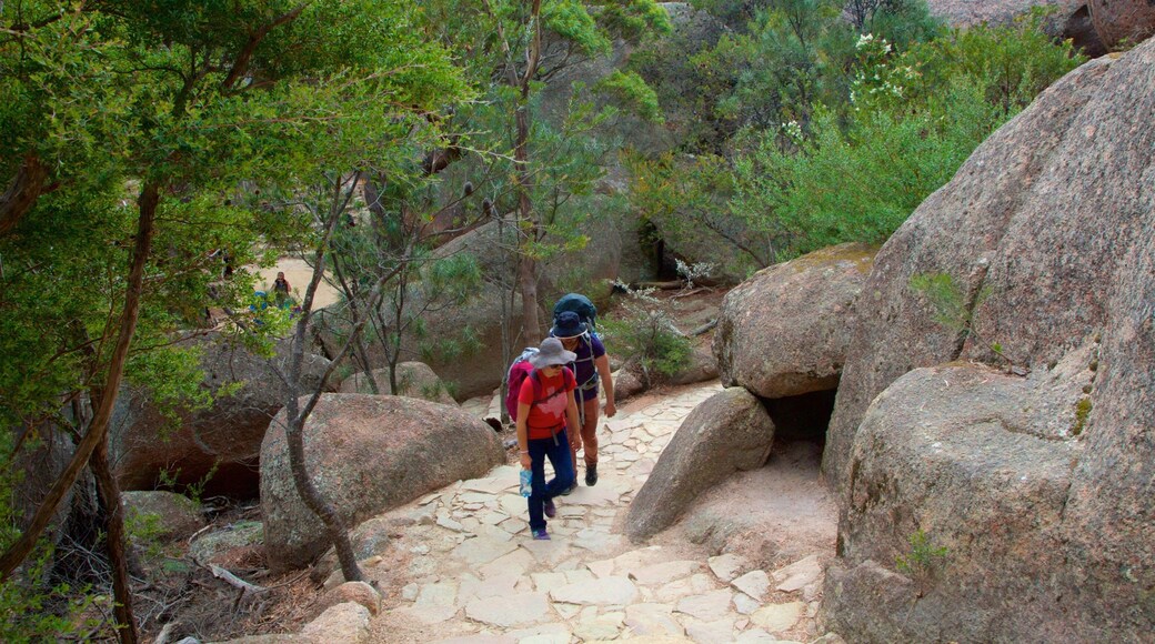 Parque Nacional de Freycinet
