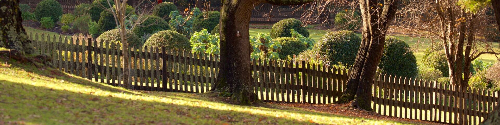 Port Arthur Historic Site which includes a garden and fall colors
