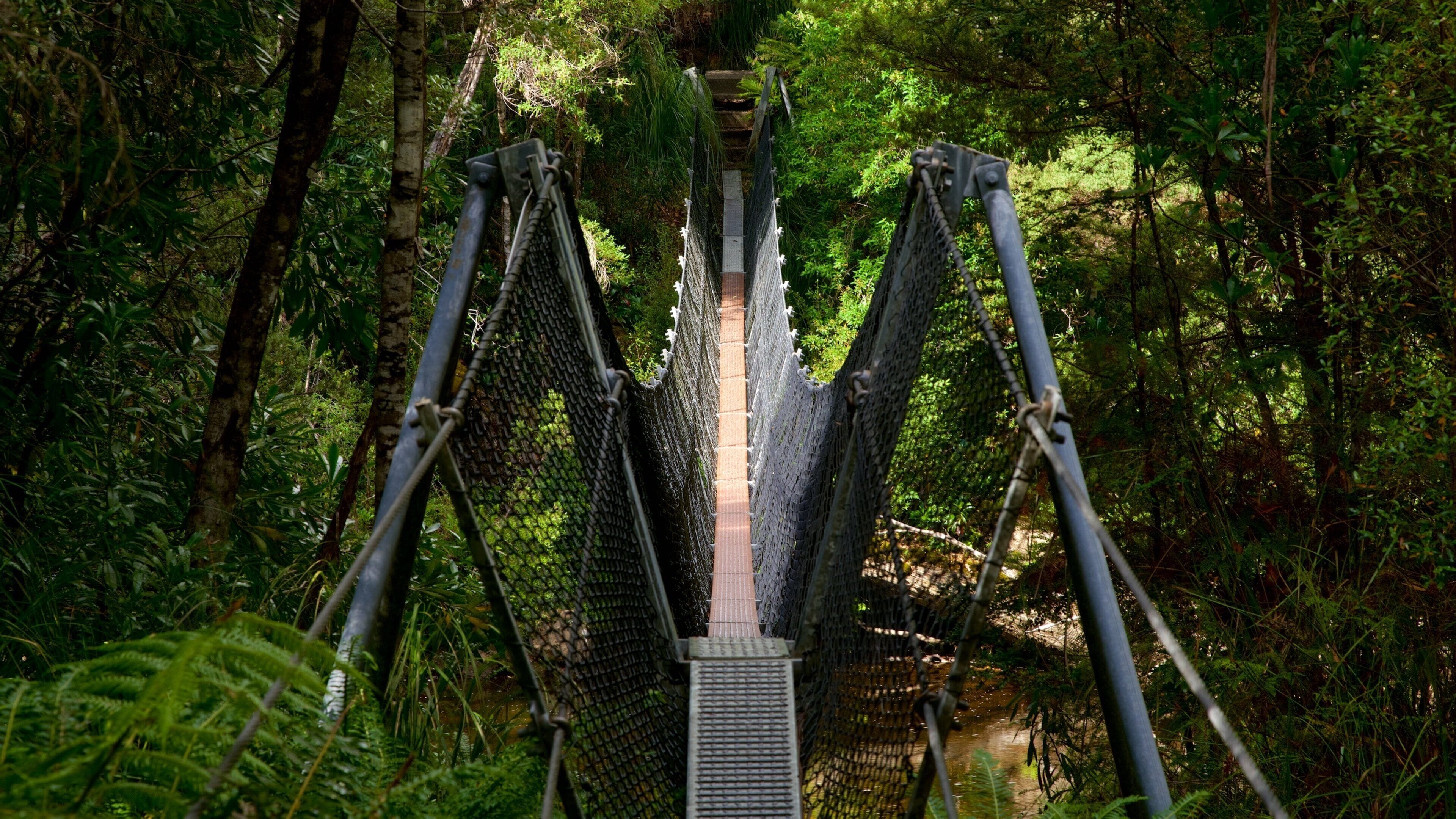 Franklin-Gordon Wild Rivers National Park