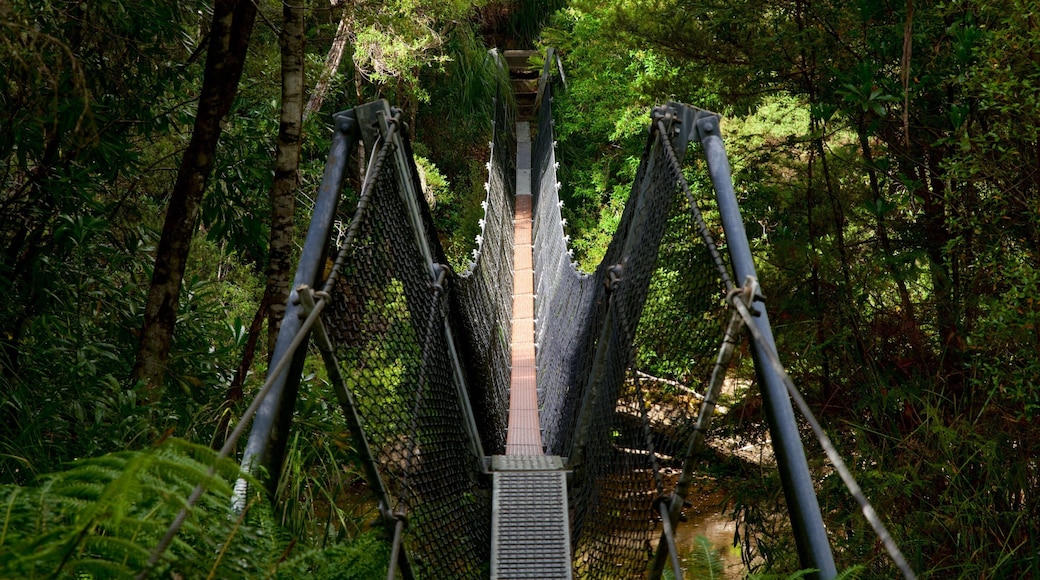 Franklin-Gordon Wild Rivers National Park