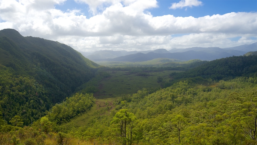 Midlands som visar stillsam natur och landskap