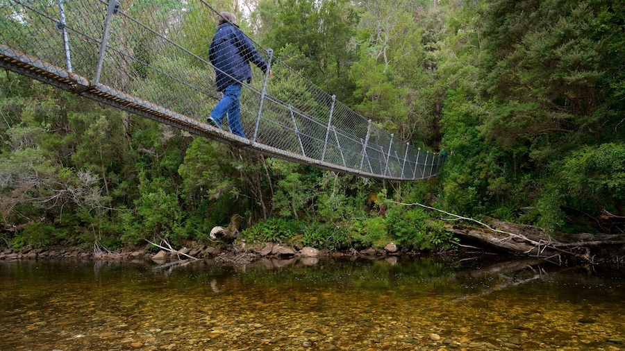 Midlands showing a river or creek and a bridge as well as an individual female