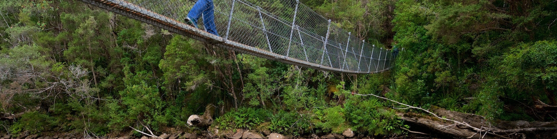 Midlands which includes a bridge and a river or creek as well as an individual female