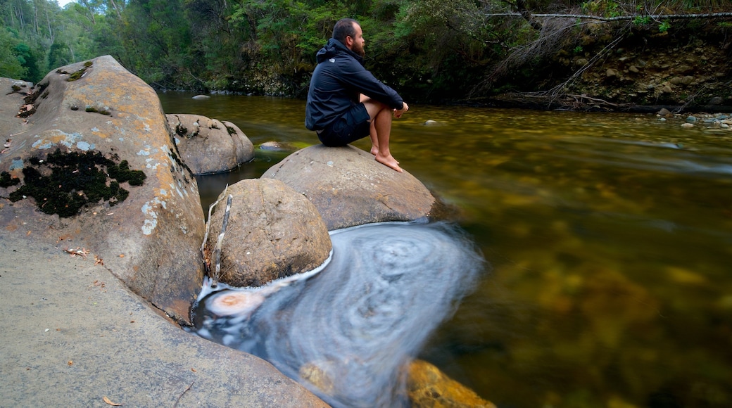 Franklin-Gordon Wild Rivers National Park which includes forests and a river or creek as well as an individual male