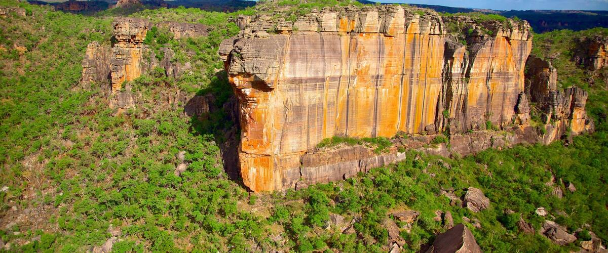 A large rock formation with layered sedimentary rock, surrounded by green vegetation.