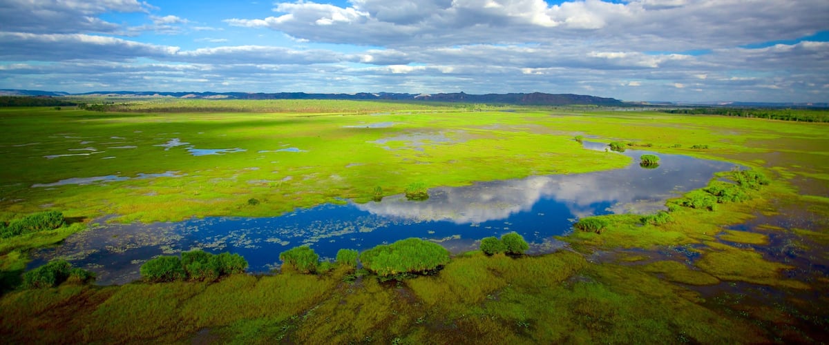 Parque Nacional Kakadu mostrando humedales