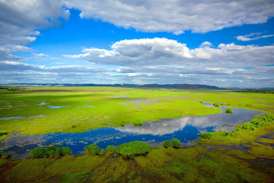 Una extensa humedal con vegetación verde y una masa de agua que se refleja.