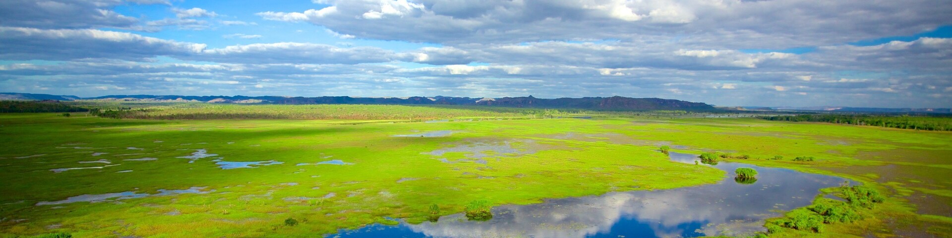 Kakadu National Park showing wetlands