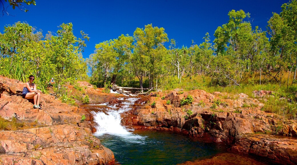 Litchfield National Park which includes a river or creek, landscape views and rapids