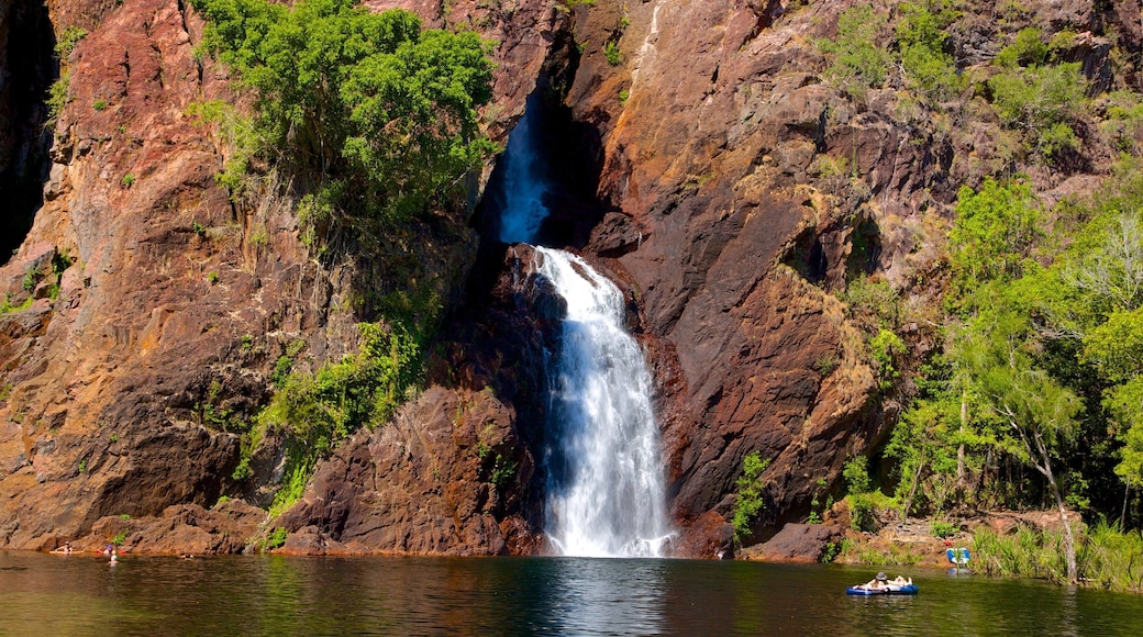 Litchfield National Park showing landscape views and a cascade