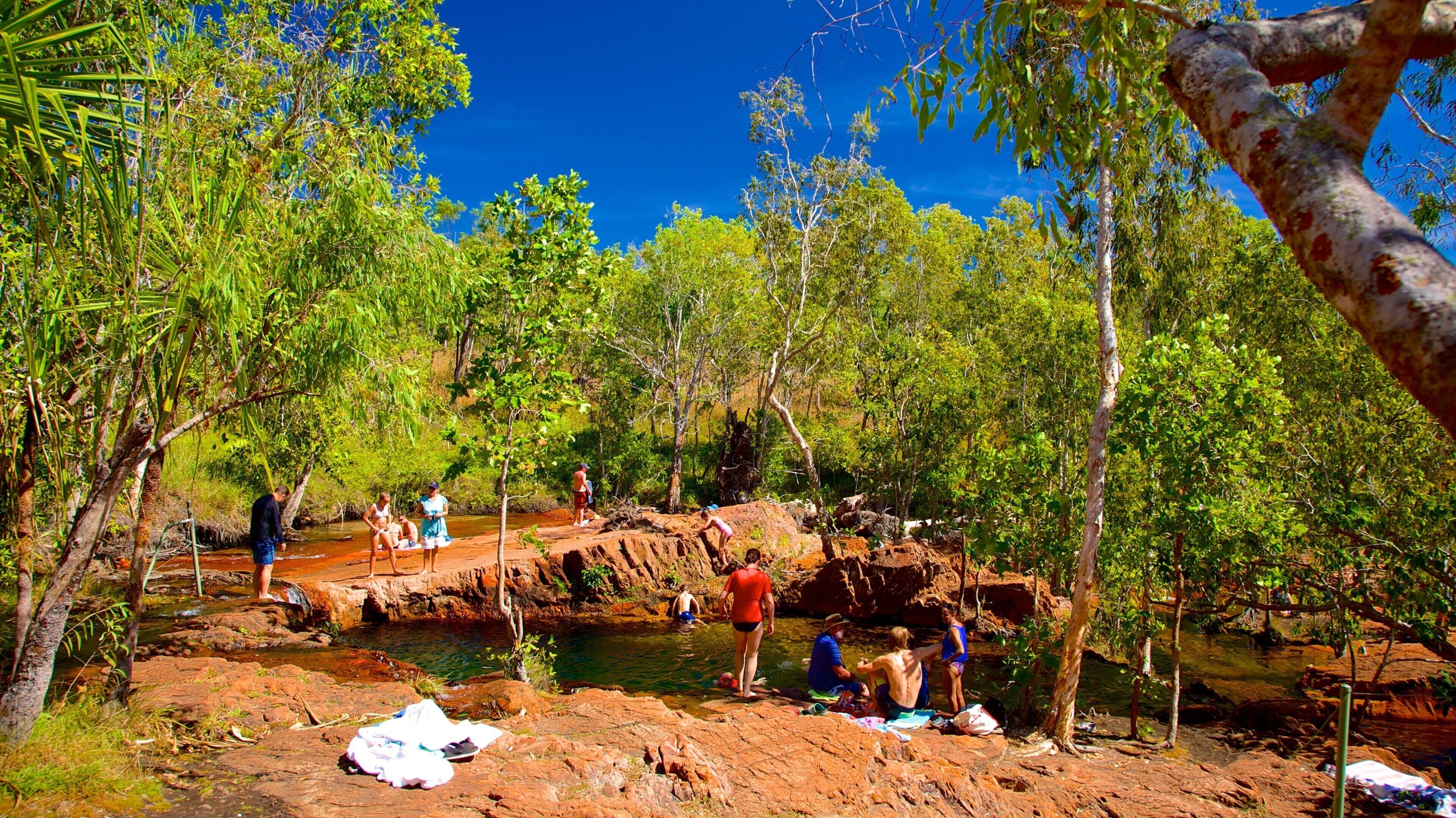 Litchfield Park showing a pond as well as a small group of people