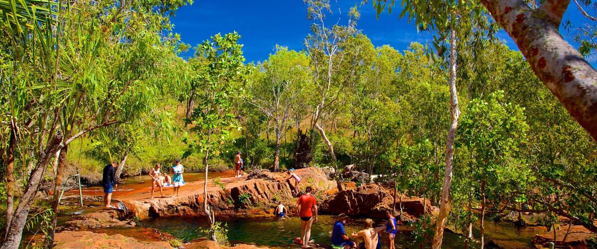 Litchfield Park showing a pond as well as a small group of people