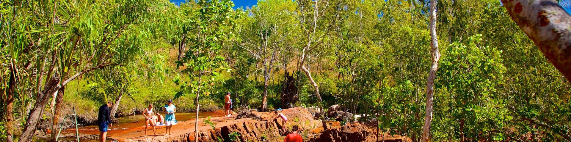 Litchfield Park showing a pond as well as a small group of people