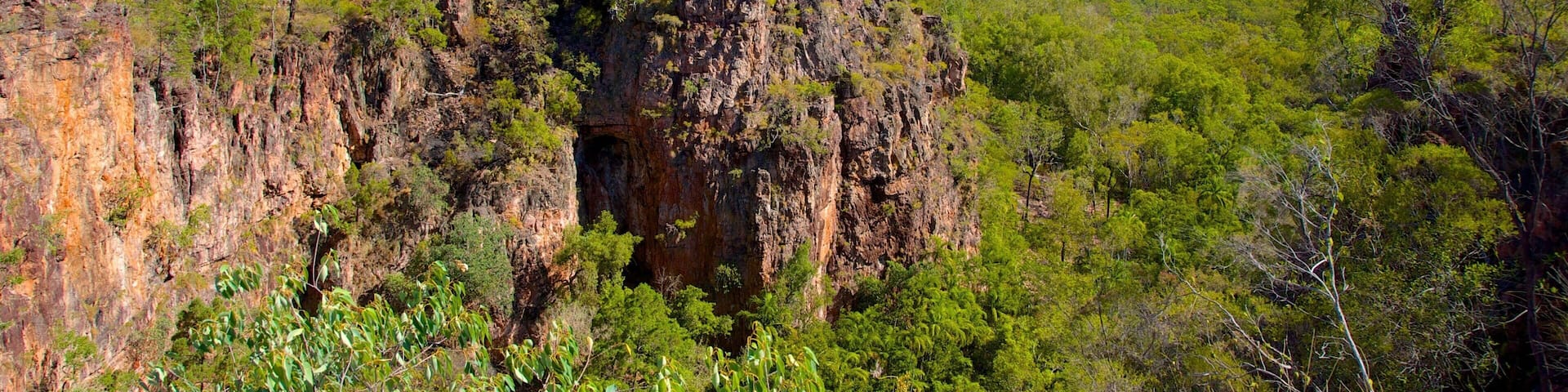 Litchfield National Park which includes landscape views and forests