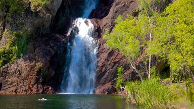 Litchfield National Park featuring landscape views and a cascade