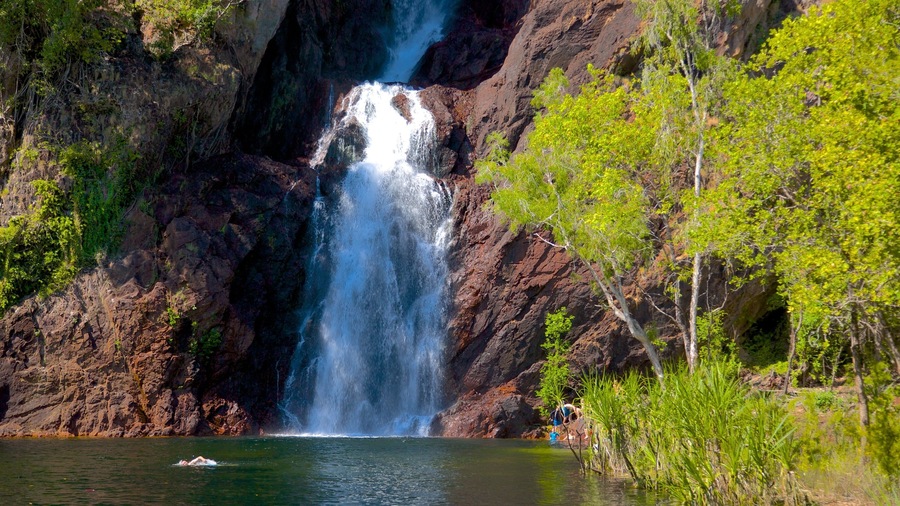 Litchfield National Park which includes landscape views and a waterfall
