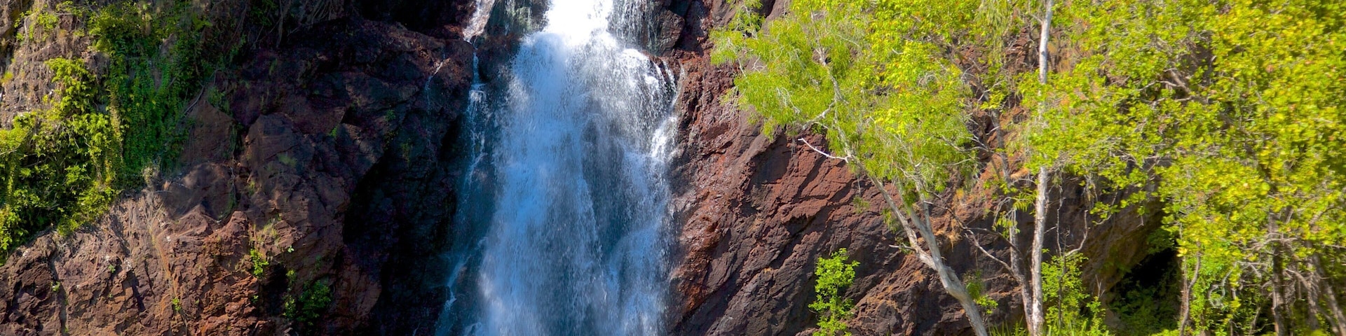Parque Nacional Litchfield ofreciendo vista panorámica y una cascada