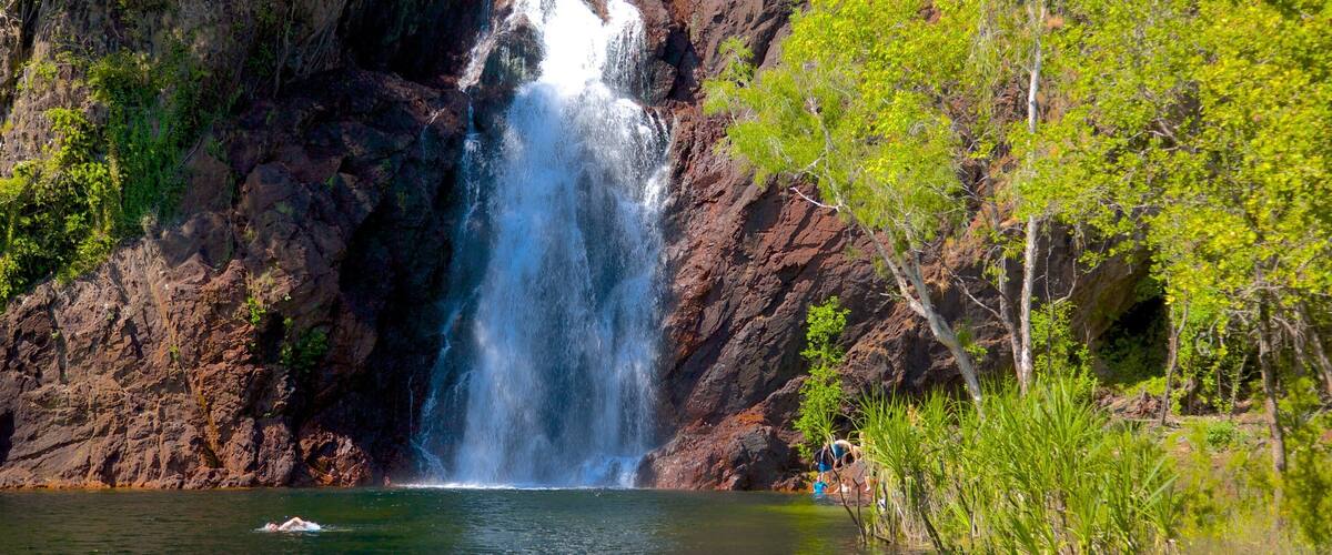 A waterfall cascading down a rocky cliff into a calm pool of water.
