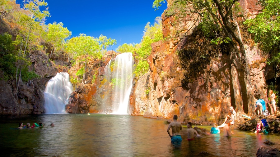Litchfield National Park which includes a cascade, landscape views and swimming