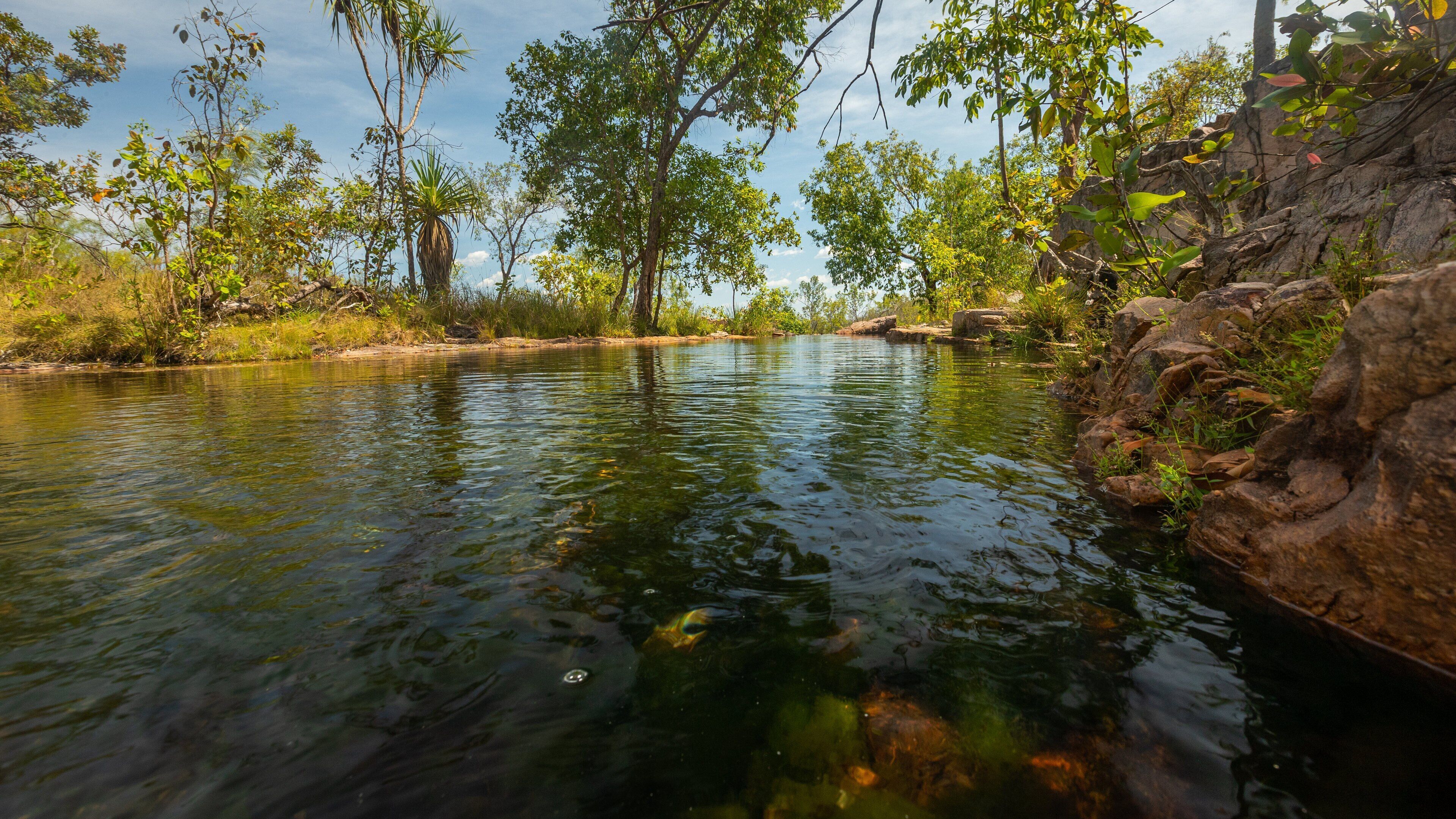 Litchfield National Park showing a river or creek