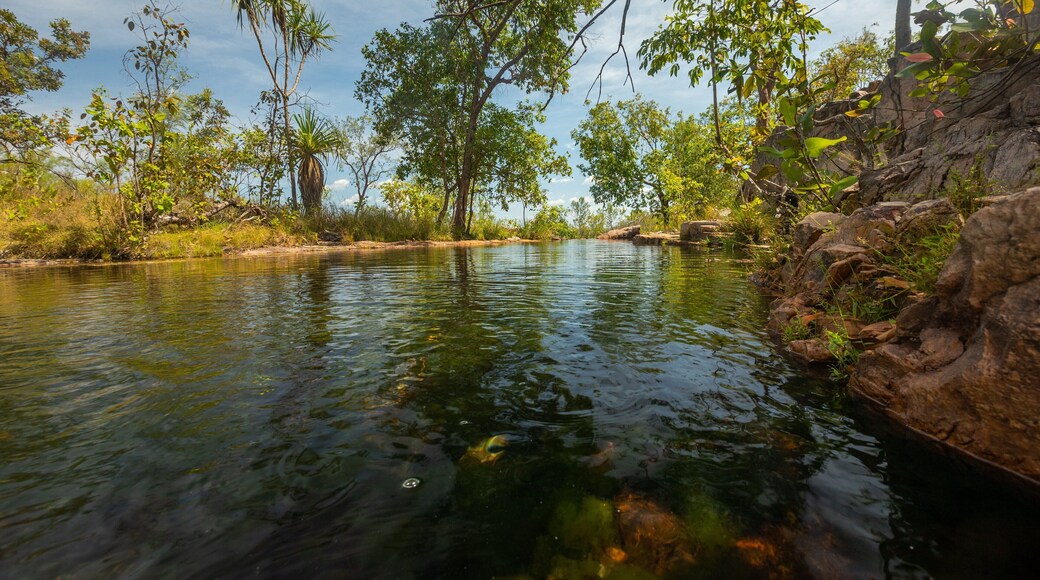 Litchfield National Park showing a river or creek